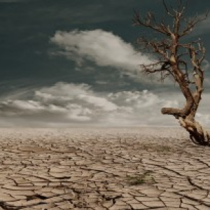 Burning Questions: Global Approaches to Climate and Health