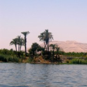 Jessica Barnes: The Politics of Irrigation and Taste of Security: Water and Bread in Egypt